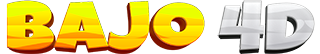 Bajo4D